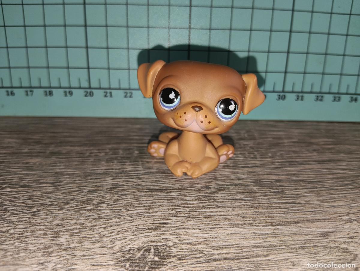 Mu&ntilde;ecas Modernas: Mascota Perro cachorro pug lps littlest pet shop