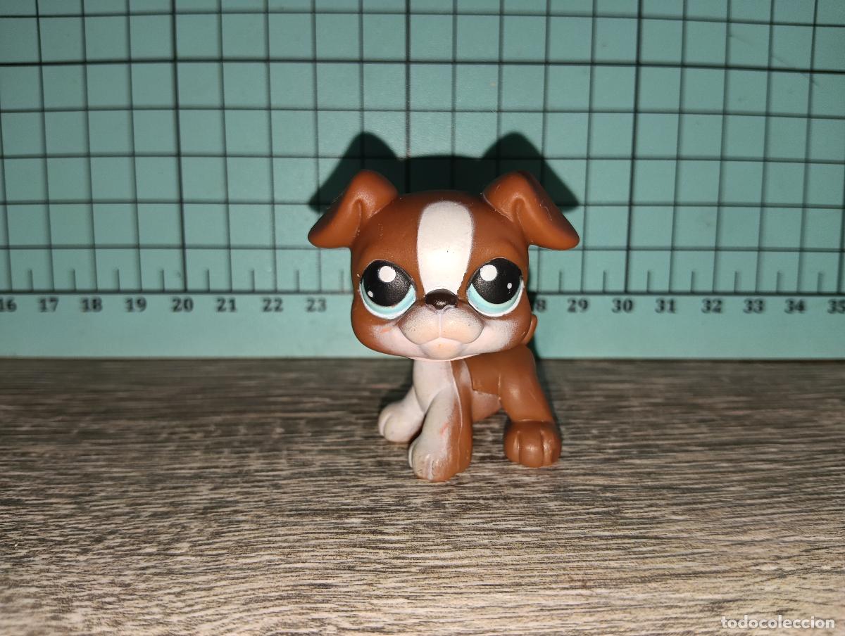 Mu&ntilde;ecas Modernas: Mascota Perro Boxer lps littlest pet shop