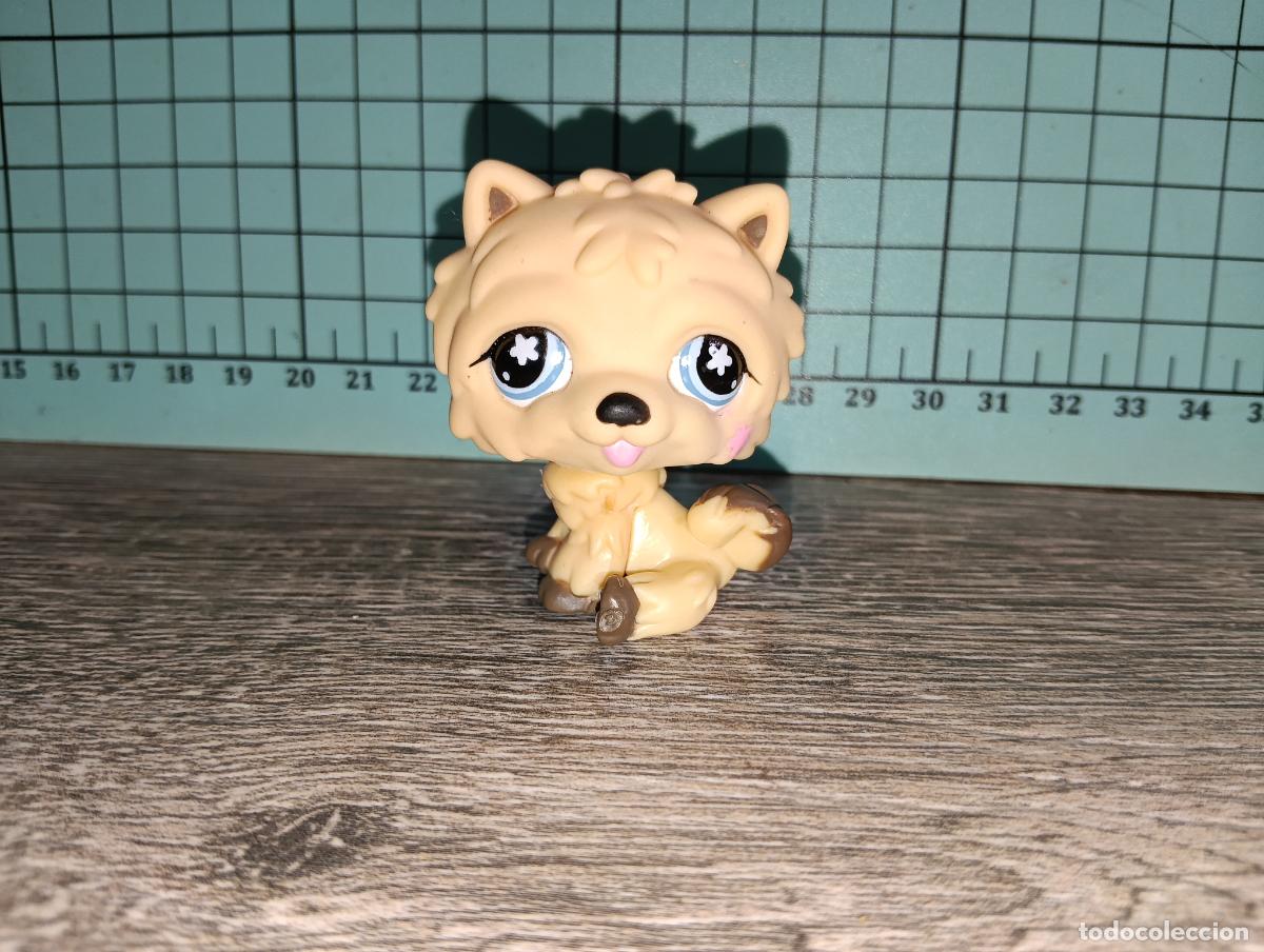 Mu&ntilde;ecas Modernas: Mascota Perro Chow Chow lps littlest pet shop