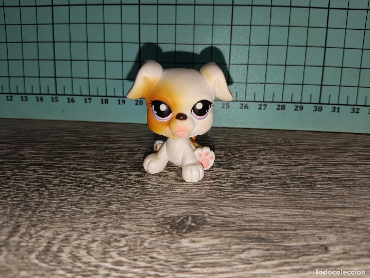 Mu&ntilde;ecas Modernas: Mascota Perro Perrita Boxer lps littlest pet shop