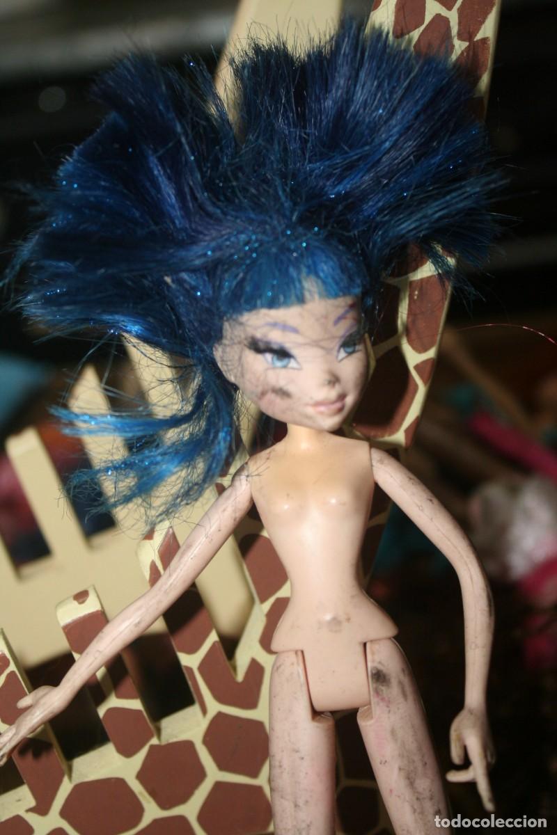 Mu&ntilde;ecas Modernas: mu&ntilde;eca winx pelo azul