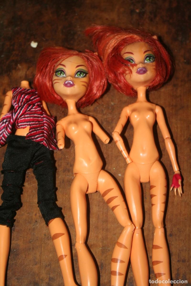 Mu&ntilde;ecas Modernas: mu&ntilde;eca mu&ntilde;eco monster high GATA TOARALEI