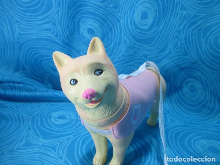 Mu&ntilde;ecas Nancy y Lucas: PERRO NANCY NEW - Foto 3
