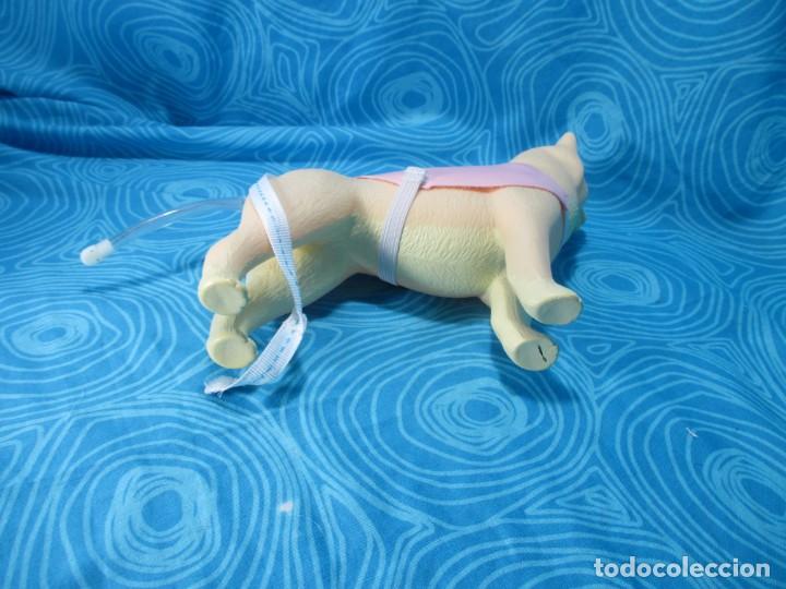 Mu&ntilde;ecas Nancy y Lucas: PERRO NANCY NEW - Foto 5