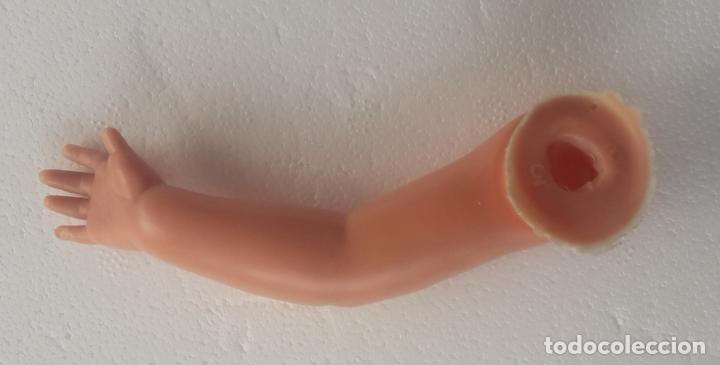Mu&ntilde;ecas Nancy y Lucas: BRAZO DURO DERECHO DE NANCY FAMOSA MU&Ntilde;ECA - Foto 2