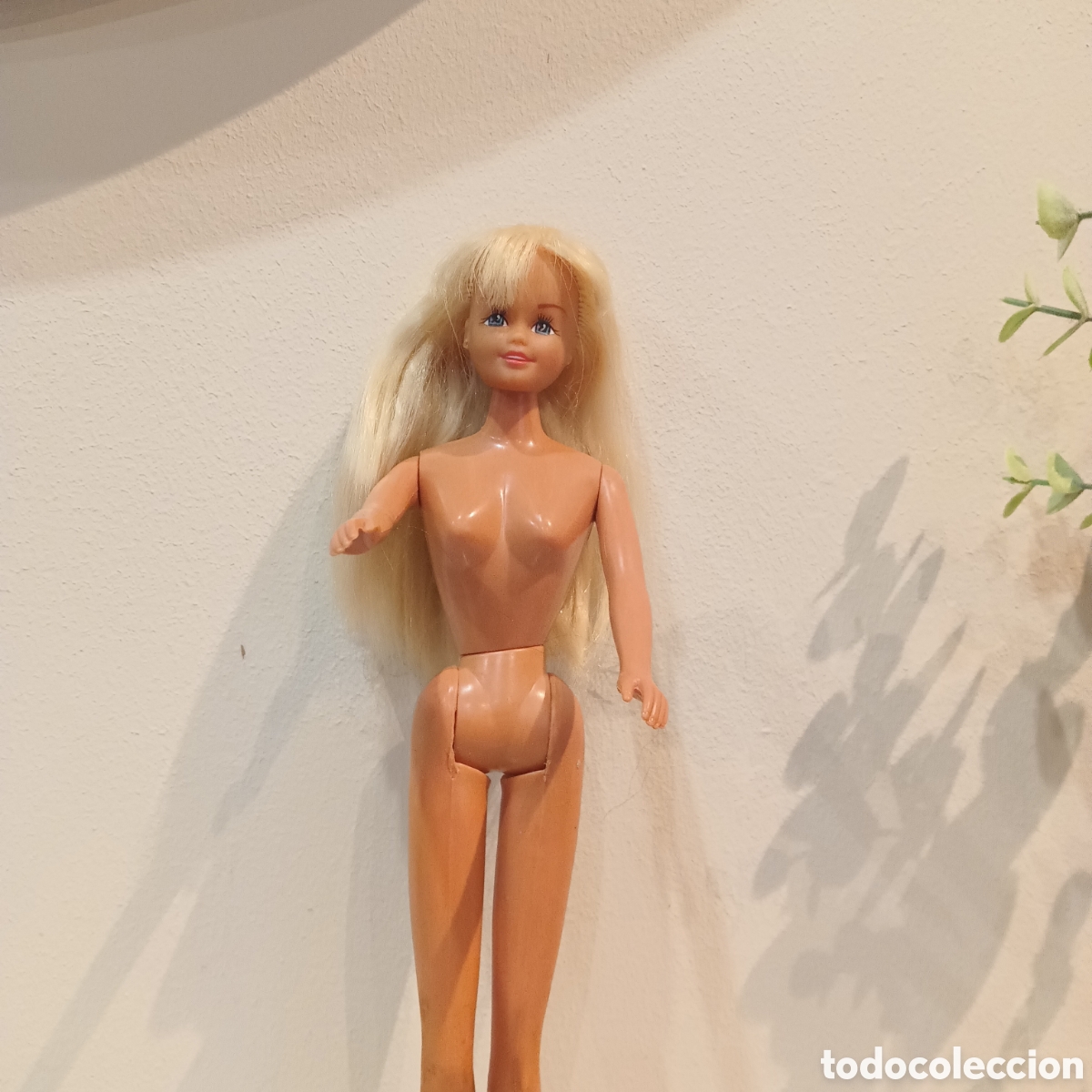 Mu&ntilde;ecas Nancy y Lucas: Mu&ntilde;eca Nancy model maniqu&iacute; - Foto 2