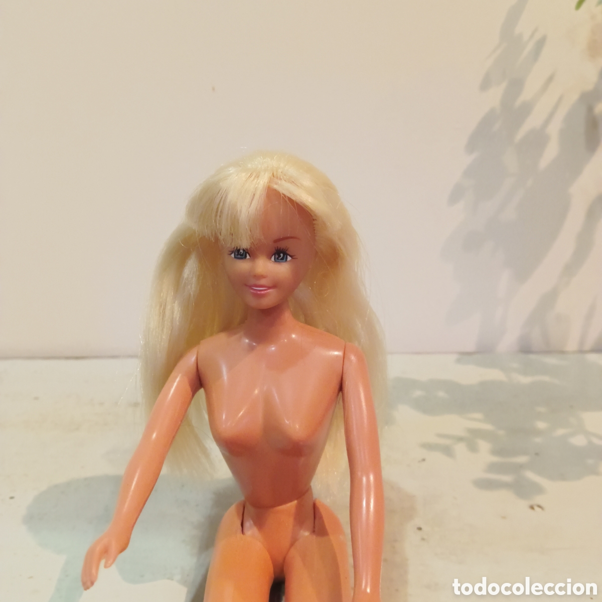 Mu&ntilde;ecas Nancy y Lucas: Mu&ntilde;eca Nancy model maniqu&iacute; - Foto 1