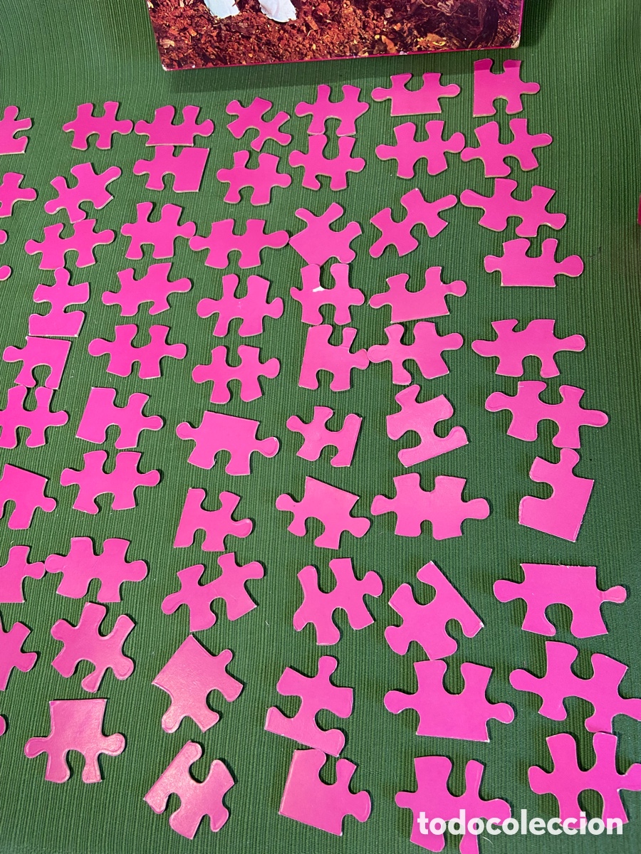 Mu&ntilde;ecas Nancy y Lucas: Puzzle Nancy en oto&ntilde;o. 2 puzzles. De Famosa. - Foto 23