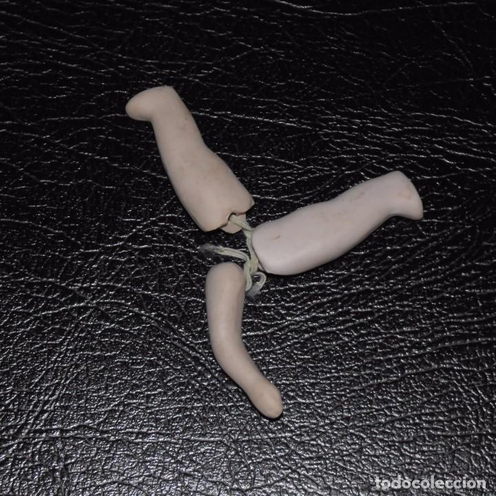Mu&ntilde;ecas porcelana: Piernas y brazo para mu&ntilde;eca. - Foto 1