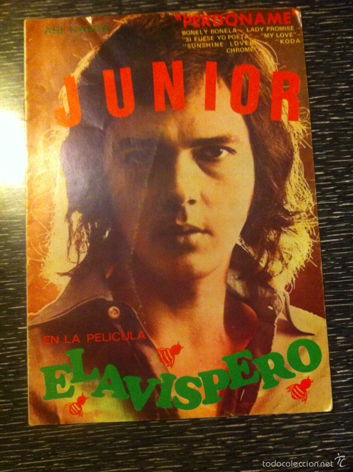 Catalogues de Musique: Antigua revista y cancionero asi canta Junior el avispero 1973