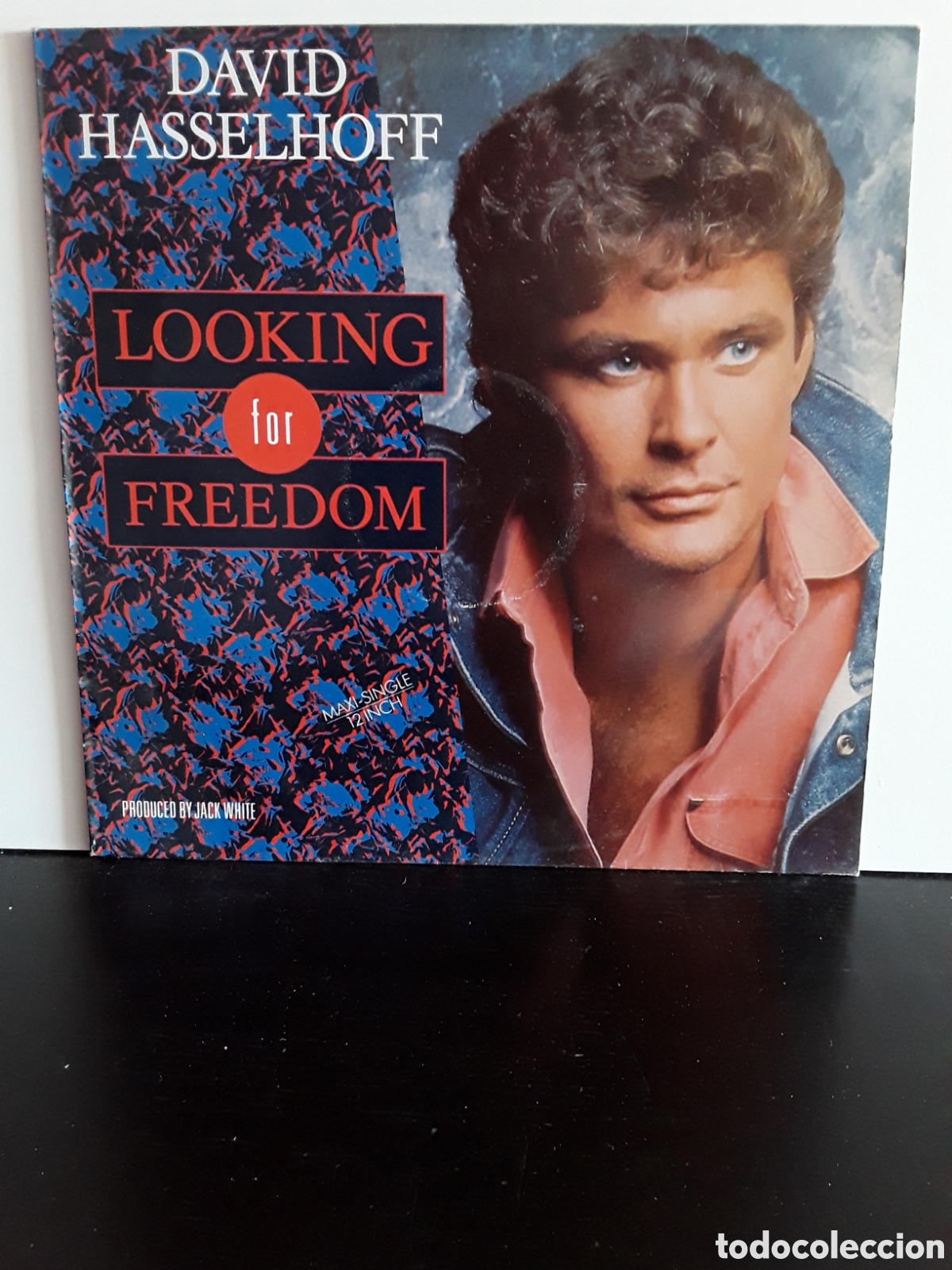 Cat&aacute;logos de m&uacute;sica: David Hasselhoff &lrm;&ndash; Looking For Freedom - Foto 1