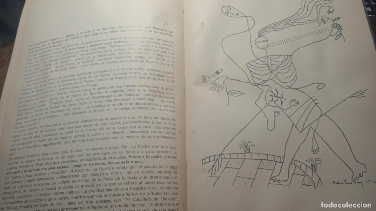 Cat&aacute;logos de m&uacute;sica: Programa Teatro Col&oacute;n Bodas de Sangre 1979. - Foto 3