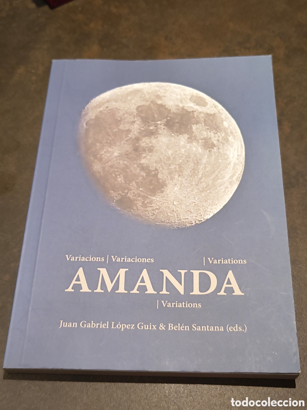 Cat&aacute;logos de m&uacute;sica: AMANDA. VARIACIONES DE JUAN GABRIEL LOPEZ GUIX Y BELEN SANTANA (EDITORES)