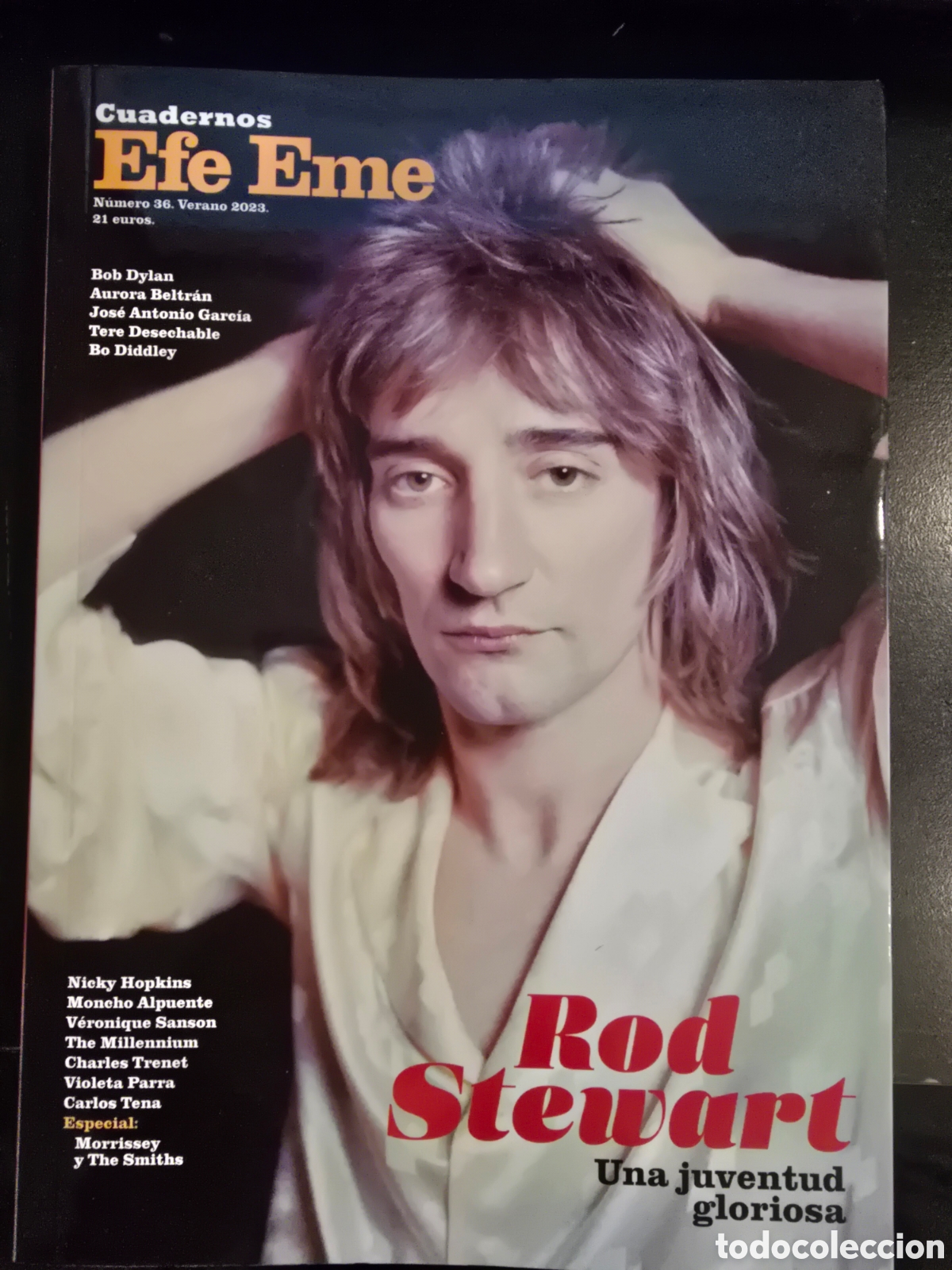 Cat&aacute;logos de m&uacute;sica: CUADERNOS EFE EME. ROD STEWART. UNA JUVENTUD GLORIOSA