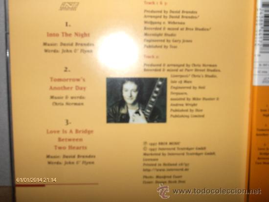 CDs de m&uacute;sica: CHRIS NORMAN ---- INTO THE NIGHT - MX CD - Foto 2