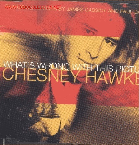 CDs de m&uacute;sica: CHESNEY HAWKES-WHAT&acute;S WRONG WITH THIS PICTURE CDSINGLE PROMOCIONAL CHRYSALIS EN 1993 EN EU