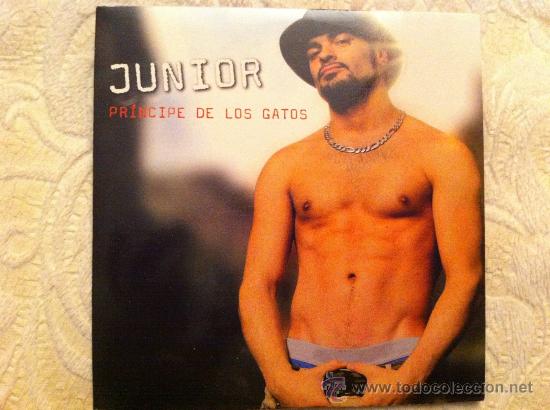 CDs de m&uacute;sica: JUNIOR - PRINCIPE DE LOS GATOS ( CD SINGLE ) - Foto 1