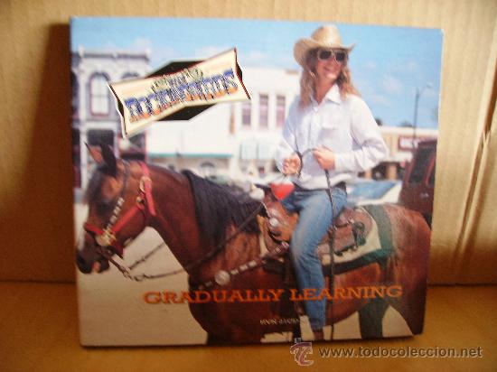 CDs de m&uacute;sica: THE ROCKINGBIRDS --- GRADUALLY LEARNING MX CD - Foto 1