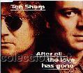 CDs de m&uacute;sica: TEN SHARP - AFTER ALL THE LOVE HAS GONE ( CD SINGLE) - Foto 1