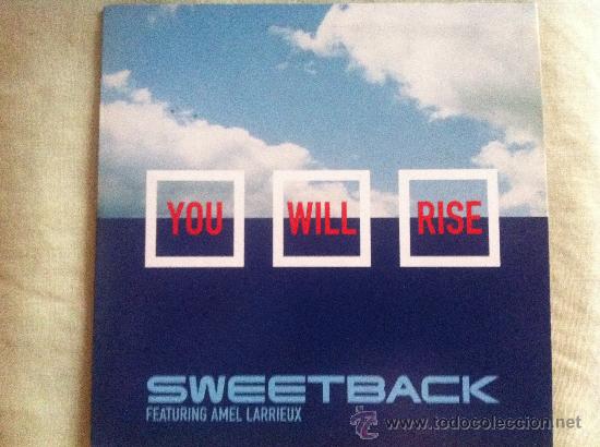 CDs de m&uacute;sica: CD SINGLE-SWEETBACK-YOU WILL RISE - Foto 1