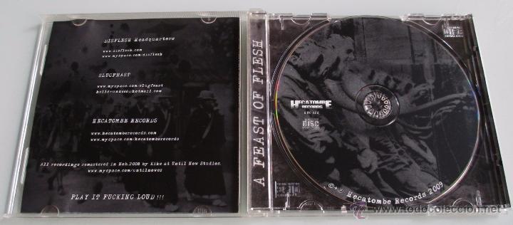 CDs de m&uacute;sica: DISFLESH - SLUGFEAST - WAR WOULD BE DISASTROUS - SPLIT CD - 2009 HECATOMBE SPAIN - Foto 2