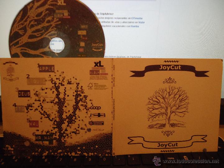 CDs de m&uacute;sica: cd original - joy cut joycut  mr. man - Foto 1