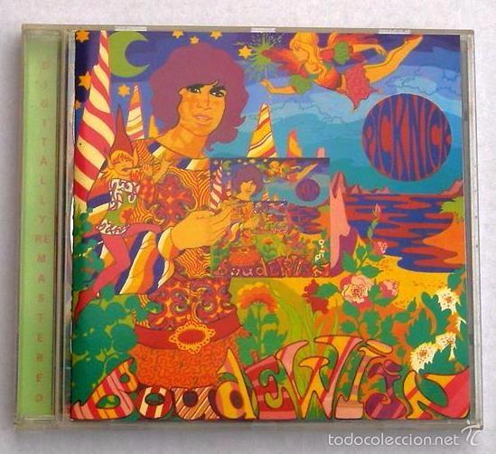 CDs de m&uacute;sica: BOUDEWIJN DE GROOT - PICKNICK (CD) 1998 - Foto 1