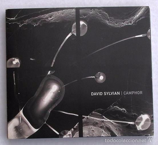 CDs de m&uacute;sica: DAVID SYLVIAN - CAMPHOR (2 CD) 2002 DIGIPACK - Foto 1