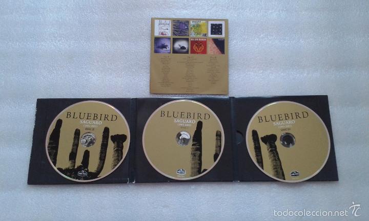 CDs de m&uacute;sica: BLUEBIRD - SAGUARO CD 2011 - Foto 5