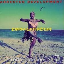 CDs de m&uacute;sica: arrested development zingalamaduni cd - Foto 1
