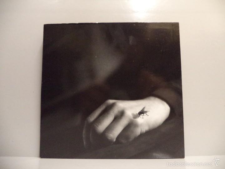 CDs de m&uacute;sica: COLLOQUIO - SI MOUVE E RIDE - Foto 1