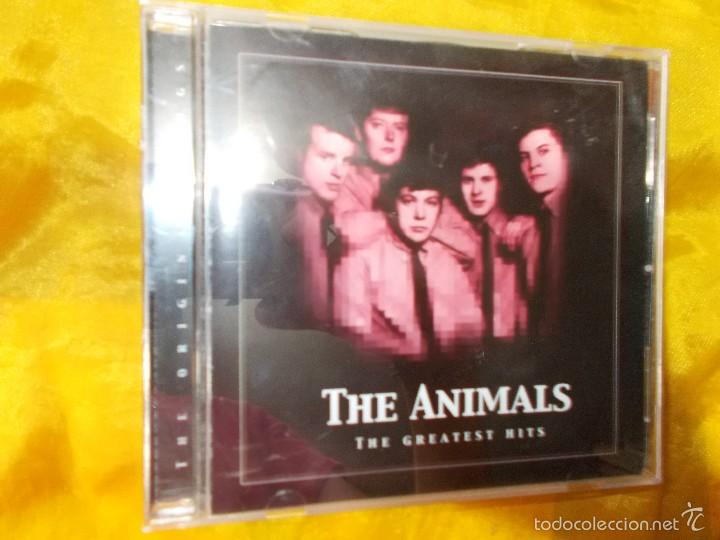 CD di Musica: THE  ANIMALS.   THE  20   GREATEST  HITS.  CD.