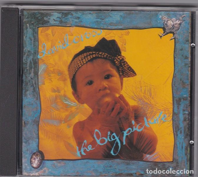 CDs de m&uacute;sica: David Cross - The Big Picture - Foto 1