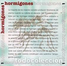 CDs de m&uacute;sica: cd nuevo sin precintar Hormigones 7 temas REF ALT ESP - Foto 1