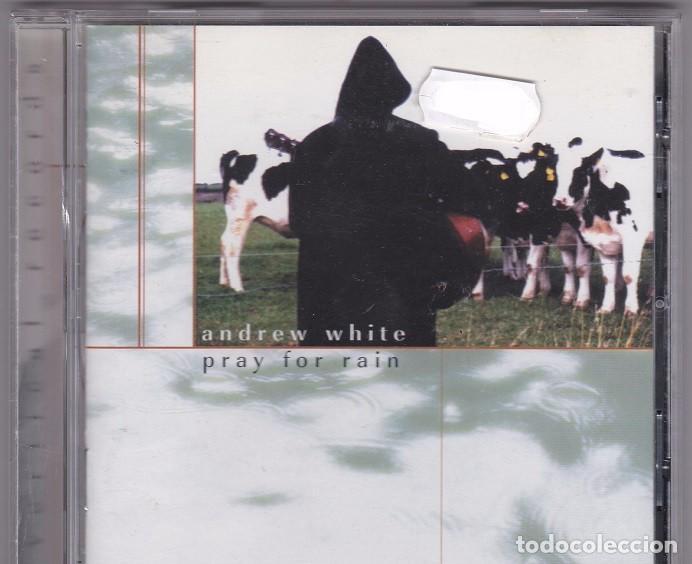CDs de m&uacute;sica: Andrew White - Pray For Rain - Foto 1