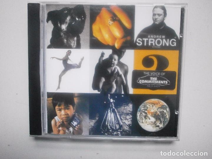 CDs de m&uacute;sica: ANDREW STRONG. STRONG - Foto 1