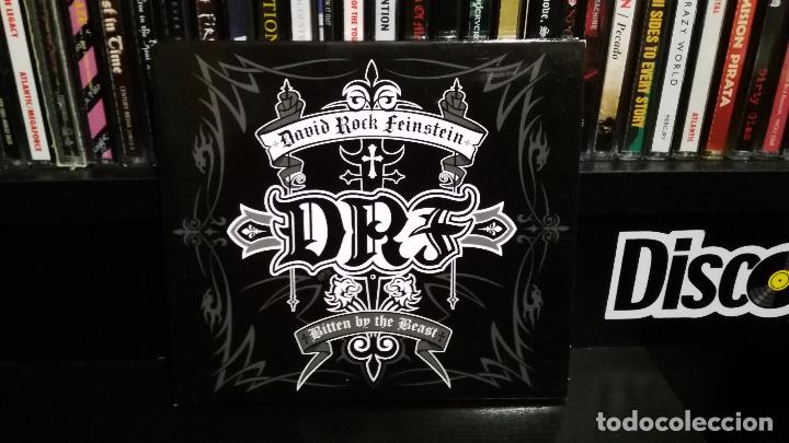 CDs de m&uacute;sica: DAVID ROCK FEINSTEIN - BITTEN BY THE BEAST - Foto 1
