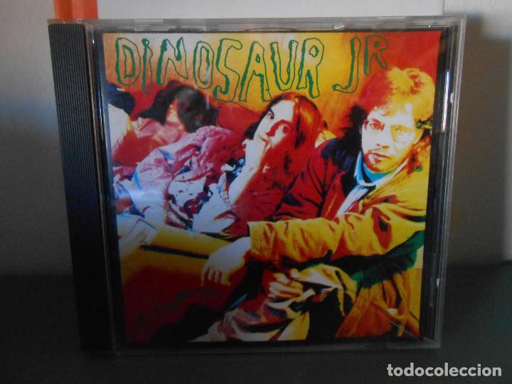 CDs de m&uacute;sica: DINOSAUR JR - JAYLOUMURPH - Foto 1