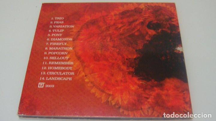 CDs de m&uacute;sica: HERE ARE THE FACTS YOU REQUESTED - FELT - - Foto 2