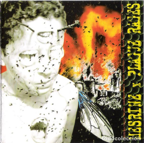 CDs de m&uacute;sica: Mesrine / Plague Rages -grind core death - Foto 1