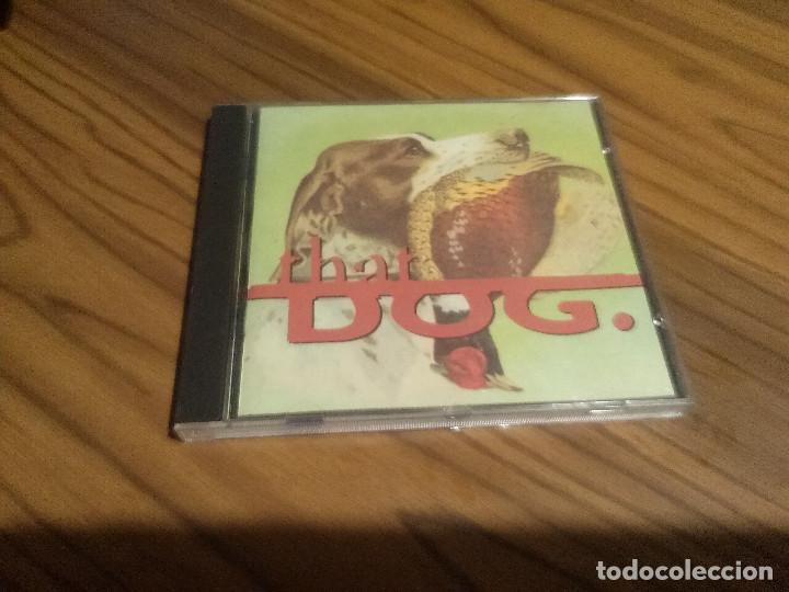Music CDs: THAT DOG.  GU 6 CD. CD CON 15 TEMAS. BUEN ESTADO. RARO