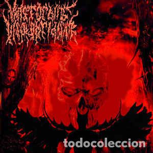 Musik-CDs: Vanstorbing Insolobridishn --- Vanstorbing Insolobridishn -brutal death metal