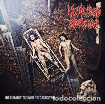 Musik-CDs: Velocidad Absurda &lrm;-- Inexorably Doomed To Cataclysm -DEATH BRUTAL DEATH