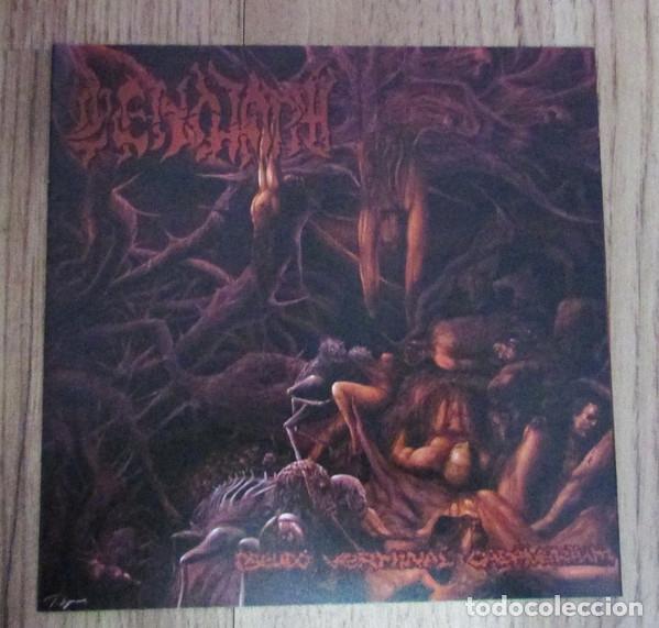 Musik-CDs: Cenotaph-- Pseudo Verminal Cadaverium - DEATH METAL BRUTAL