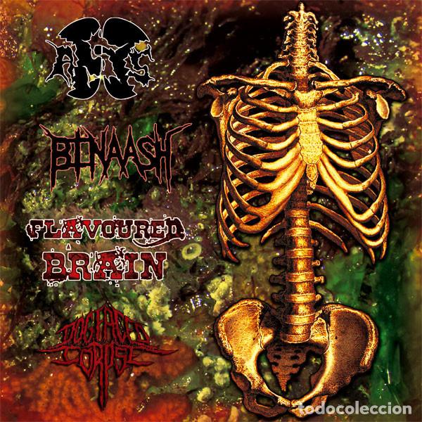 Musik-CDs: Anal Supersonic Sex / Binaash / Flavoured Brain / Dog Faced Corpse &lrm;-GORE GRIND CORE