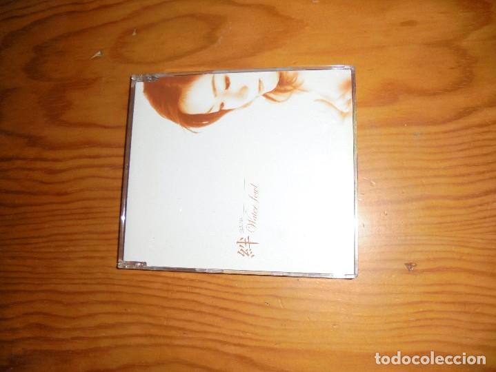CD de M&uacute;sica: KIZUNA.  WATER  FOWL.  CD.  TOMOPROMOTION, EDITADO EN JAPON  2001.