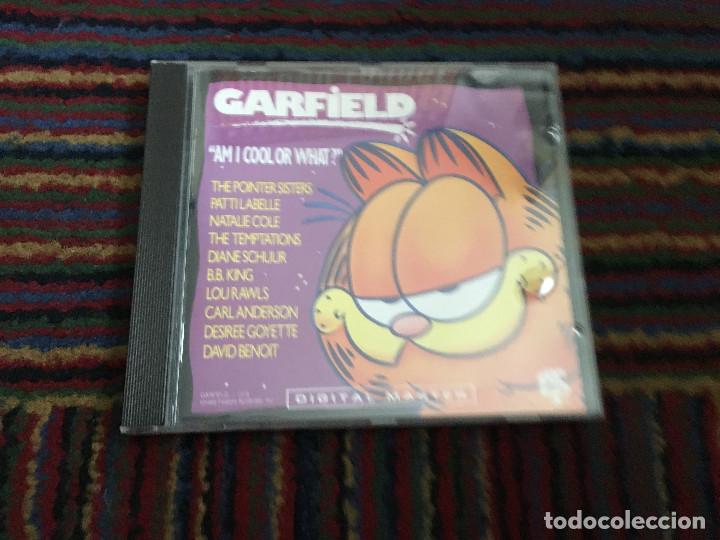 CDs de m&uacute;sica: GARFIELD AM I COOL OR WHAT ? - Foto 1