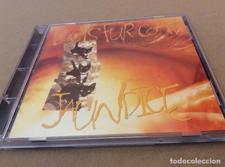 CDs de m&uacute;sica: LUCYS FUR COAT. JAUNDICE. 1995 - Foto 1