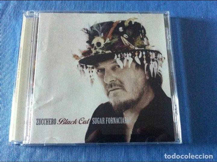 CDs de m&uacute;sica: ZUCCHERO. BLACK CAT - Foto 1