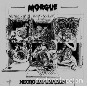Musik-CDs: morgue---- necro exhumation-death metal grind core